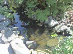 101PARC AUX OISEAUX DANS L AIN 2016 2_000045